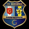 ТС Глоговия Глогув Малопольский
