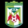 Чапулинерос де Оахака
