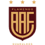 Фламенго де Гуарульос U11