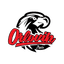 КК Орловик Жепче
