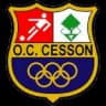 ОК Сессон-Севинье