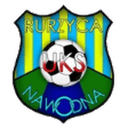 Ружица Наводна
