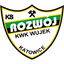 Розвуй Катовице