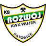 Розвуй Катовице