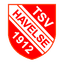 ТСВ Хафельзе U19