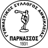 ГС Парнассос Амфиклиас