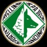Авеллино U19