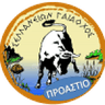 АО Селланон