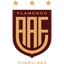 Фламенго де Гуарульос U17