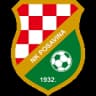 НК Посавина Велика Копаница