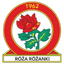 ВКС Рожа Рожанки