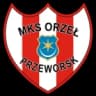 МКС Орел Пшеворск