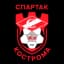 Спартак Кострома