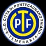 Читта Ди Понтекагнано Фаяно Темерария