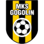 МКС Гоголин