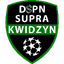 ДСПН Супра Квидзин