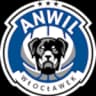 Анвил Влоцлавек