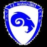 Г.С. Мандрайкос