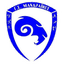 Г.С. Мандрайкос