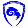 Г.С. Мандрайкос