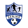 ОФК Сеняк U17