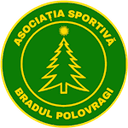 АС Брадул Половраги