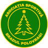 АС Брадул Половраги