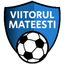 ФК Вииорул Матеешти