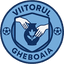 ФК Вииторул Гебоая U19