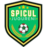АС Спикул Жугурени U19