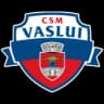 КСМ Васлуй