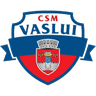 КСМ Васлуй