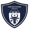 ЦСМ Буковина Рэдэуци
