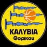 ГАС Каливия Торику