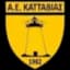 АЕ Каттавиа