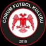 ФК Чорум U19