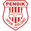 Пендикспор U19