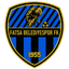 Фатса Беледиеспор U19