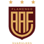 Фламенго ди Гуарульюс U14