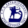 ЕПО Саламиномахои
