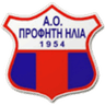 АО Профити Илия
