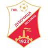 ГФК Дубочица Лесковац