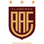 Фламенго де Гуарульюс U13