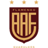Фламенго де Гуарульюс U13
