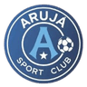 Аружа U13