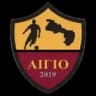 АО Айгиу 2019
