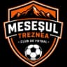 Месешул Трезнеа