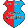 СК Войнца Домнешти II
