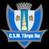 КСМ Тыргу Джиу U19