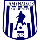 ФС Таминайкос Аливериу